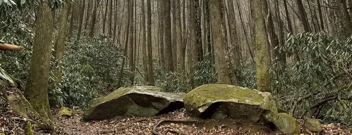 Bear Creek Trail Ellijay Georgia - Trails & Tap