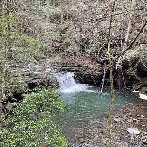 South Cumberland State Park - Trails and Tap