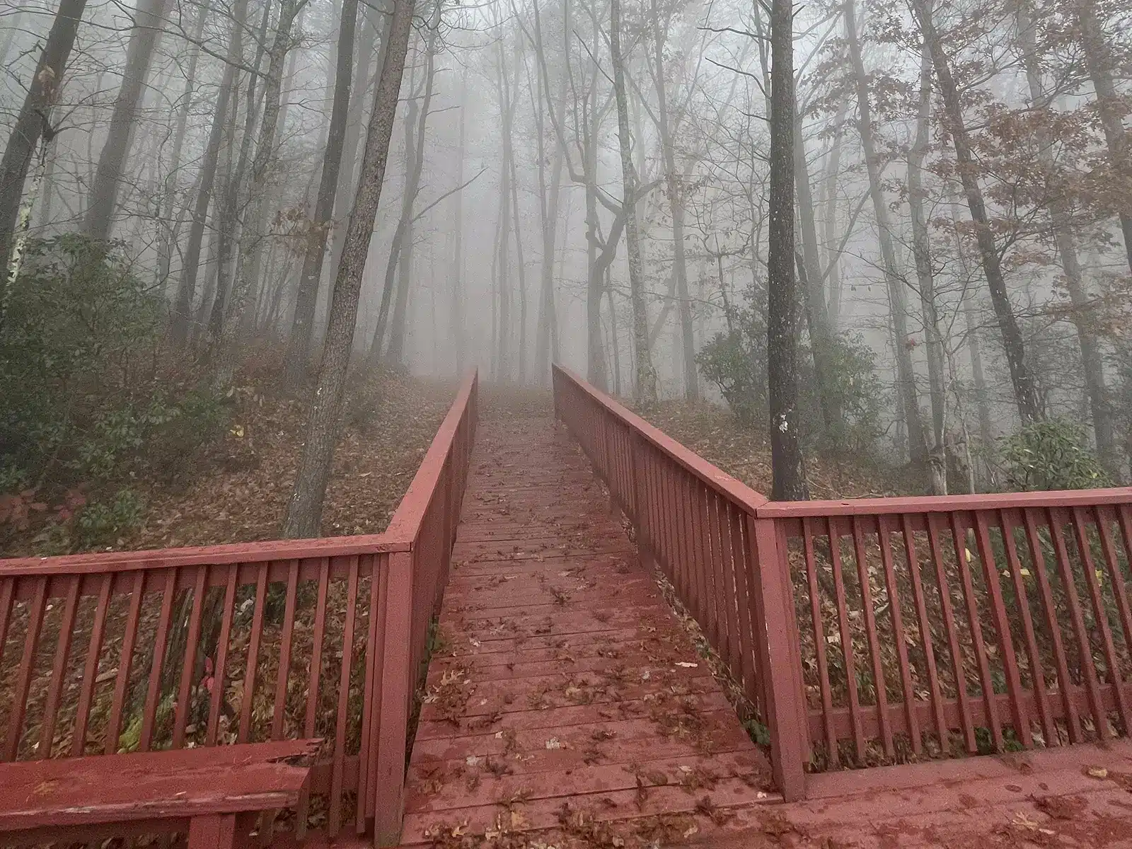 Fort Mountain State Park in Georgia - Trails & Tap