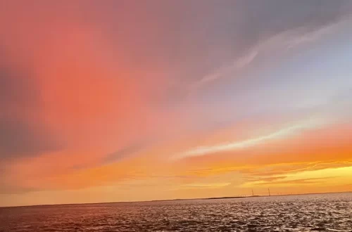 Jekyll Island State Park in Georgia - Trails and Tap