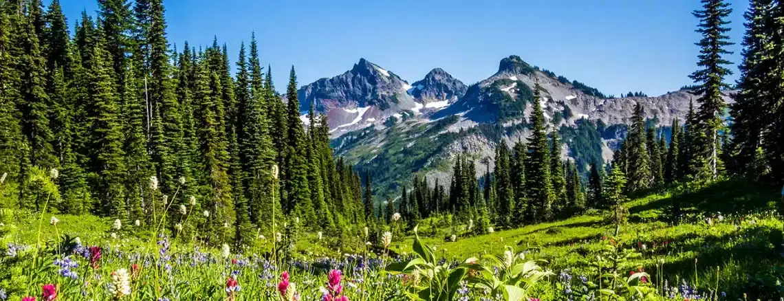 National Park Service Free Park Days 2024