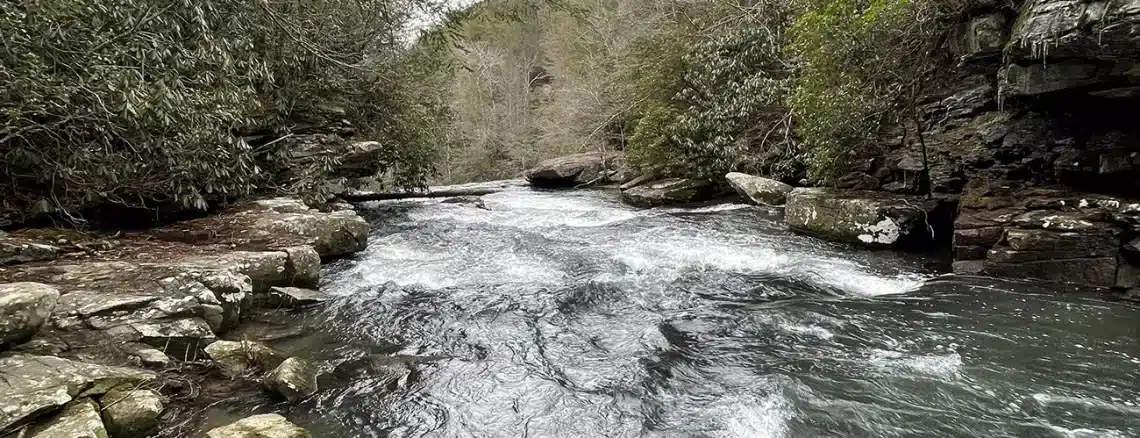 Savage Gulf Tennessee State Park - Trails & Tap