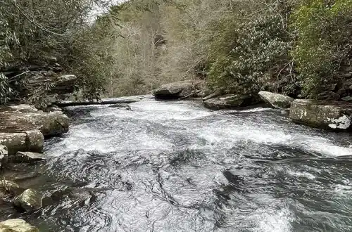 Savage Gulf Tennessee State Park - Trails & Tap