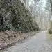 Allatoona Pass Trail and GA State Historic Site