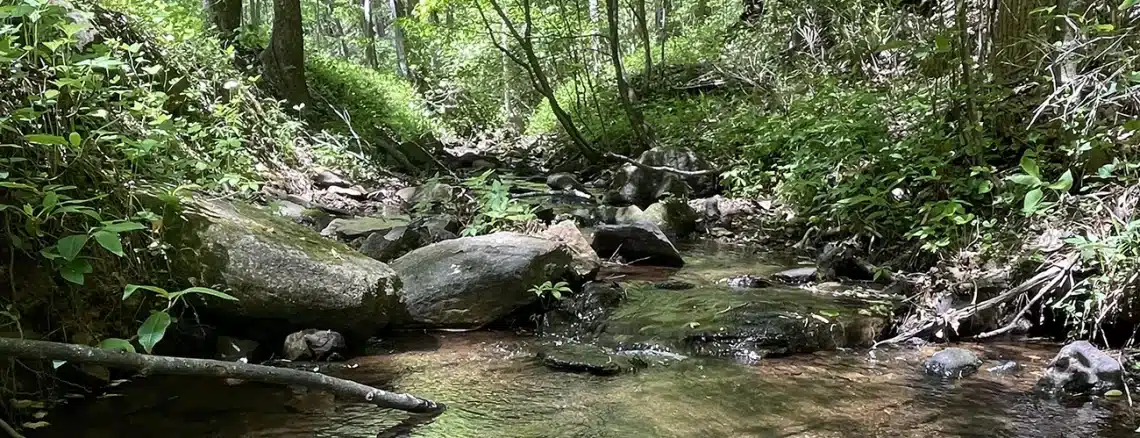 Coopers Furnace Trail in Cartersville GA - Trails and Tap