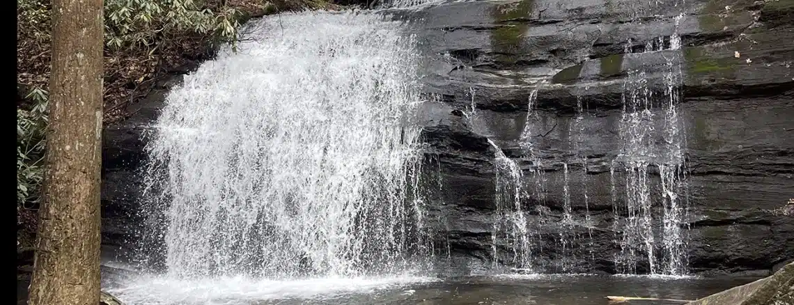 Long Creek Falls Trail near Blue Ridge Georgia - Trails & Tap