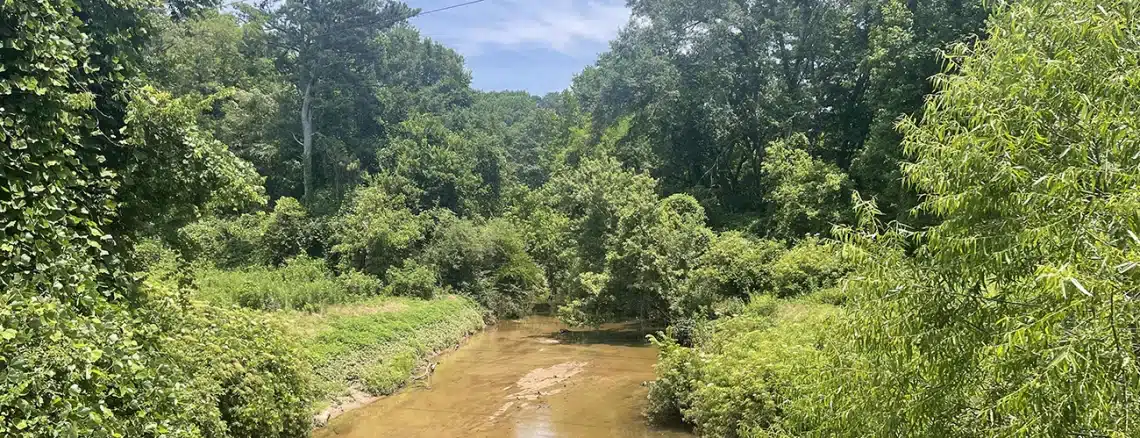 Morningside Nature Preserve in Atlanta Georgia - Trails & Tap