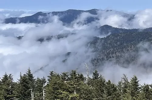 Great Smoky Mountains National Park - Trails & Tap