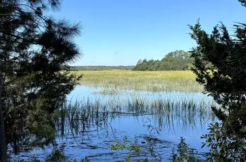 Skidaway Island State Park - Savannah Georgia