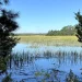 Skidaway Island State Park - Savannah Georgia