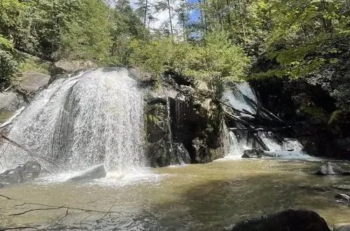 Turtle Town Trail near Farner TN