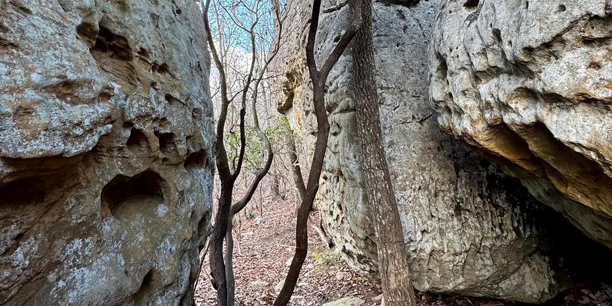 Rocktown Trail in Crockford-Pigeon Mountain Wildlife Management Area