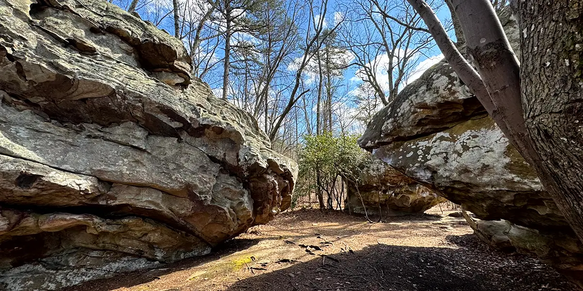 Rocktown Trail in Crockford-Pigeon Mountain Wildlife Management Area