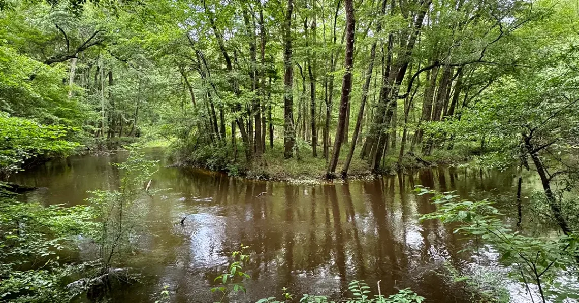 Timmerman Trail in Cayce, South Carolina