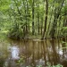 Timmerman Trail in Cayce, South Carolina