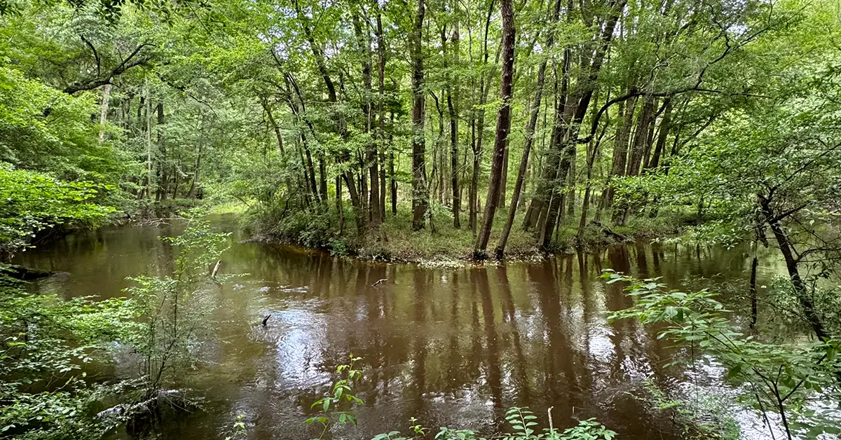 Timmerman Trail in Cayce, South Carolina