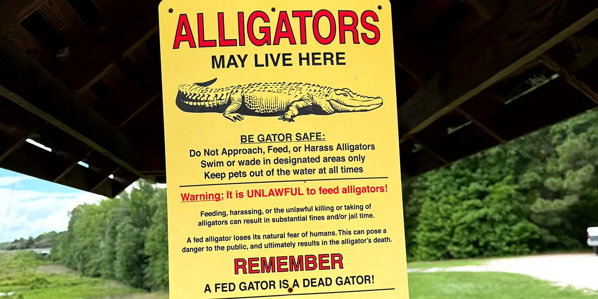 Alligator Warning Sign at Timmerman Trail